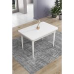 Canisa Concept Nil Serisi 70 x 110 cm Sabit Beyaz Mutfak Masa Takımı+4 Adet Sandalye - Görsel 2