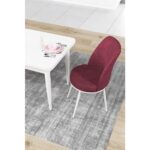 Canisa Concept Nil Serisi 70 x 110 cm Sabit Beyaz Mutfak Masa Takımı+4 Adet Sandalye - Görsel 3