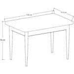 Canisa Concept Nil Serisi 70 x 110 cm Sabit Beyaz Mutfak Masa Takımı+4 Adet Sandalye - Görsel 4