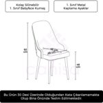 Canisa Concept Krax Serisi  Babyface Kumaş Yemek Odası Sandalye Gümüş Metal Ayak 1 Adet Sandalye - Görsel 2