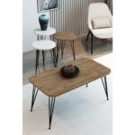 Modalanka 3'lü Zigon Sehpa ve Orta Sehpa Set Yuvarlak Sehpa Seti Tel Ayak Sehpa Set