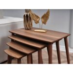 Dest Mobilya 4'lü Rüya MDF Zigon Sehpa Ceviz - Görsel 2