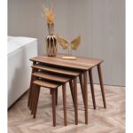 Dest Mobilya 4'lü Rüya MDF Zigon Sehpa Ceviz - Görsel 3