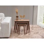 Dest Mobilya 4'lü Rüya MDF Zigon Sehpa Ceviz - Görsel 5