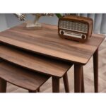 Dest Mobilya Rüya Zigon Sehpa - Görsel 9