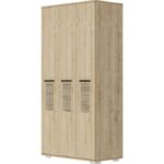 Demonte Dekor Asimo (C) 3 Kapaklı Gardırop Safirmeşe-Safirmeşe - Görsel 3