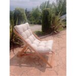 Ayzenbi Arıa Şezlong Bahçe/balkon/teras/plaj Katlanır - 1 Şezlong