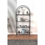 Dekopratik Mona Siyah Kitaplık Dekoratif Aksesuar Rafı Mutfak Rafı Şeffaf Cam