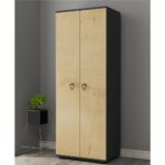 Cantek Dizayn Nirvana (B) 2 Kapaklı Gardırop Elbise Dolabı Ve Çok Amaçlı Dolap Antrasit-Safirmeşe