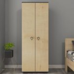 Cantek Dizayn Nirvana (B) 2 Kapaklı Gardırop Elbise Dolabı Ve Çok Amaçlı Dolap Antrasit-Safirmeşe - Görsel 2