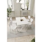 Dekoport Elma Teddy Kumaş Mutfak Masa Sandalye Takımı 80*125 - Görsel 2