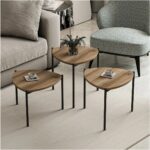 Edmonda Ev Aksesuar Duru 3lü Üçlü Ahşap Metal Zigon Sehpa Ceviz - Görsel 4