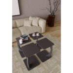 Çok Amaçlı 4'lü Sehpa Takımı | Yan ve Orta Sehpa | Modern & Şık Tasarım - Görsel 5